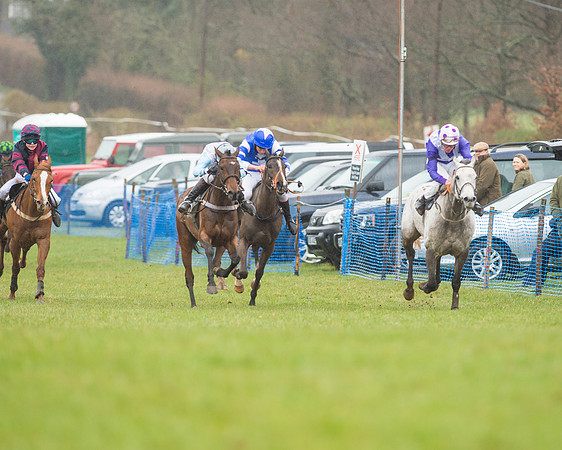 Pony Race 3 (17 of 40).jpg