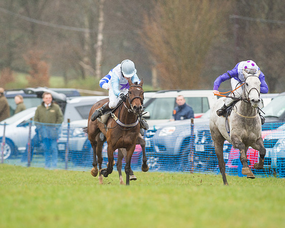 Pony Race 3 (25 of 40).jpg