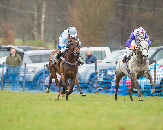 Pony Race 3 (26 of 40).jpg