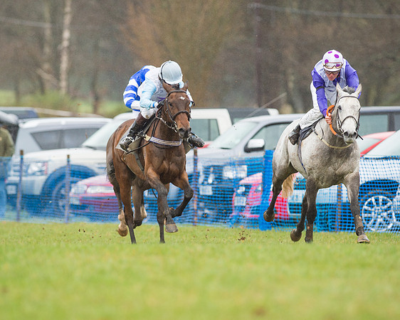 Pony Race 3 (27 of 40).jpg