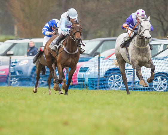 Pony Race 3 (30 of 40).jpg