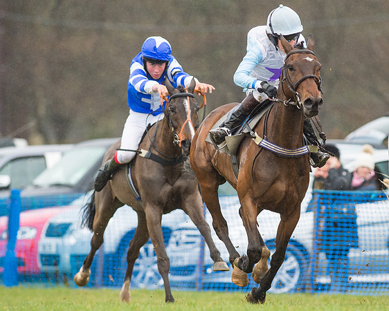 Pony Race 3 (33 of 40).jpg
