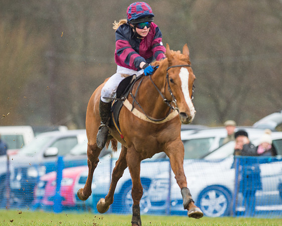 Pony Race 3 (35 of 40).jpg