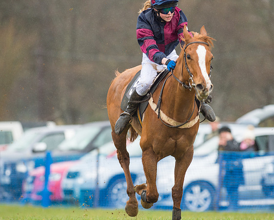 Pony Race 3 (36 of 40).jpg