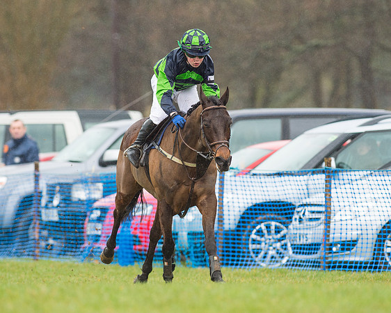 Pony Race 3 (37 of 40).jpg