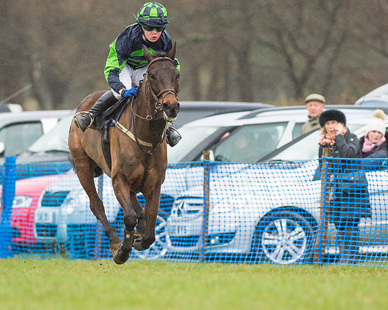 Pony Race 3 (39 of 40).jpg