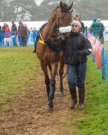 Race 1 - 2M4F Maiden (2 of 82).jpg