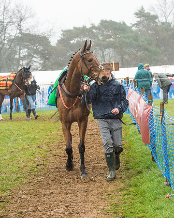 Race 1 - 2M4F Maiden (3 of 82).jpg