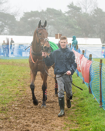 Race 1 - 2M4F Maiden (6 of 82).jpg