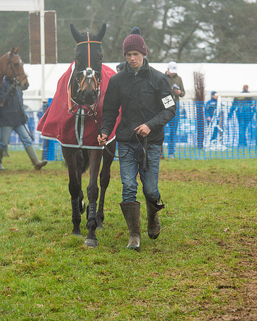 Race 1 - 2M4F Maiden (9 of 82).jpg
