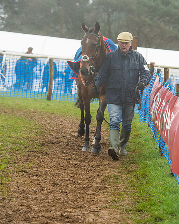 Race 1 - 2M4F Maiden (10 of 82).jpg