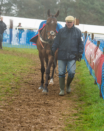 Race 1 - 2M4F Maiden (11 of 82).jpg