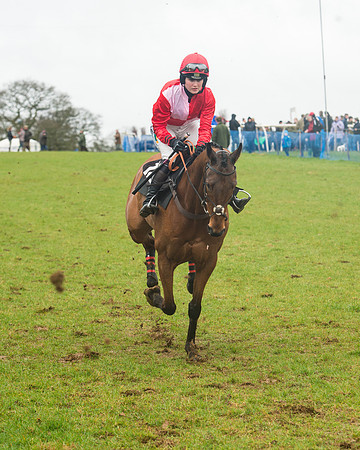 Race 1 - 2M4F Maiden (21 of 82).jpg