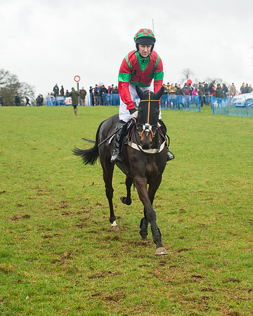 Race 1 - 2M4F Maiden (25 of 82).jpg