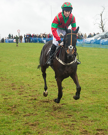 Race 1 - 2M4F Maiden (27 of 82).jpg