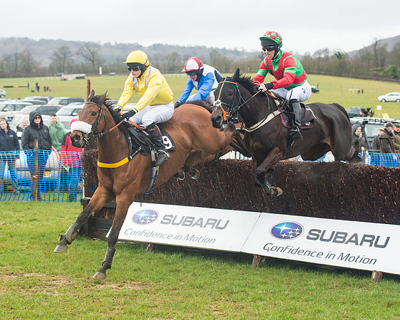Race 1 - 2M4F Maiden (31 of 82).jpg