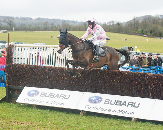 Race 1 - 2M4F Maiden (39 of 82).jpg