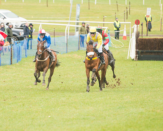 Race 1 - 2M4F Maiden (44 of 82).jpg