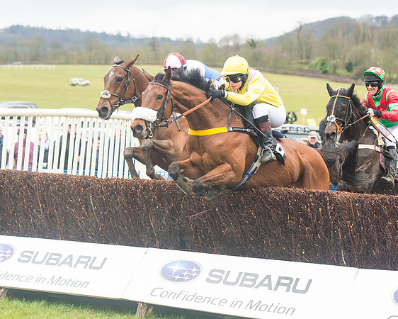 Race 1 - 2M4F Maiden (45 of 82).jpg