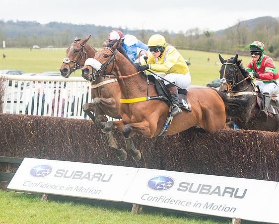 Race 1 - 2M4F Maiden (46 of 82).jpg