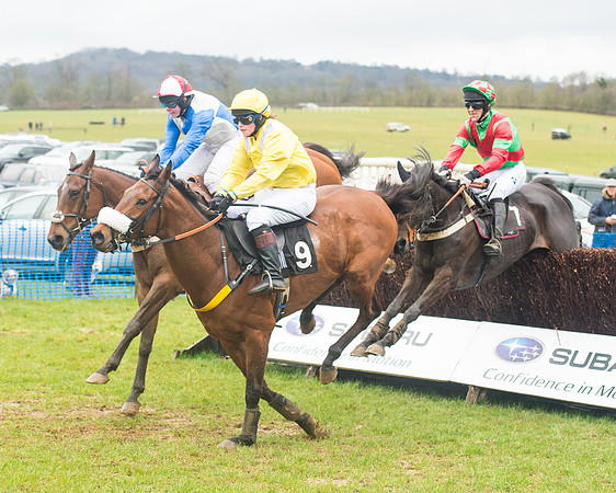 Race 1 - 2M4F Maiden (49 of 82).jpg