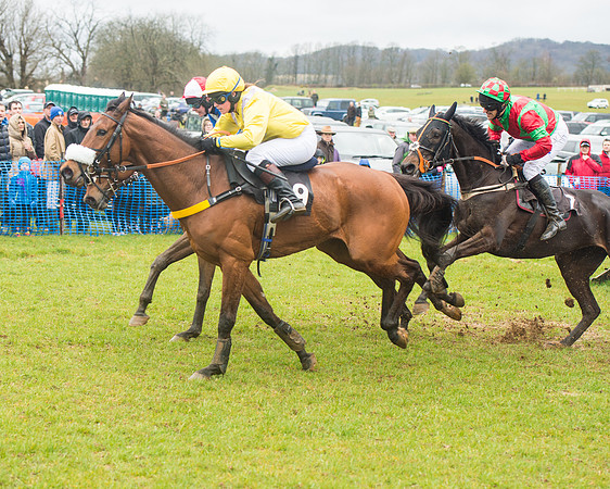 Race 1 - 2M4F Maiden (53 of 82).jpg