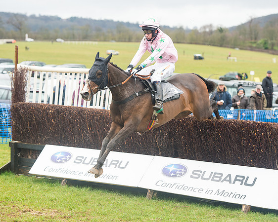 Race 1 - 2M4F Maiden (57 of 82).jpg