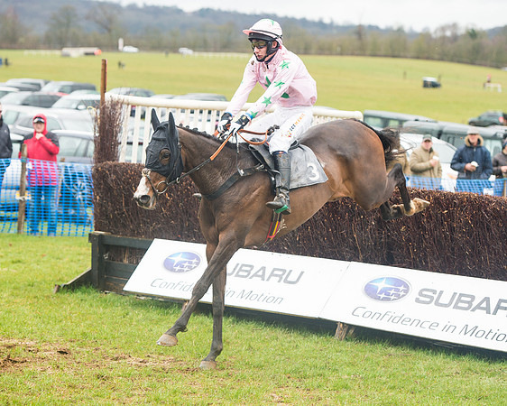 Race 1 - 2M4F Maiden (58 of 82).jpg
