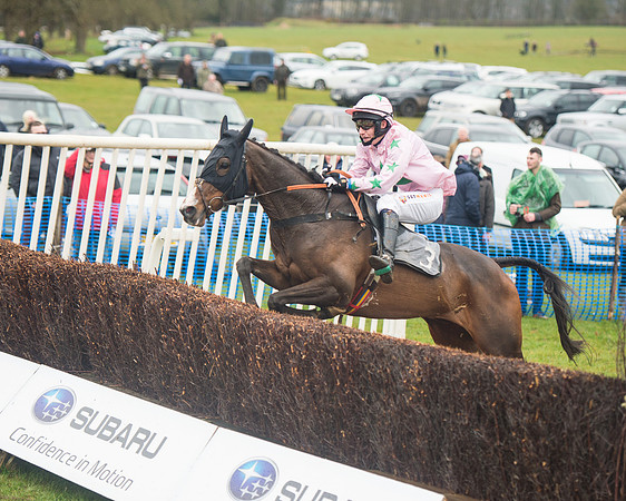 Race 1 - 2M4F Maiden (73 of 82).jpg