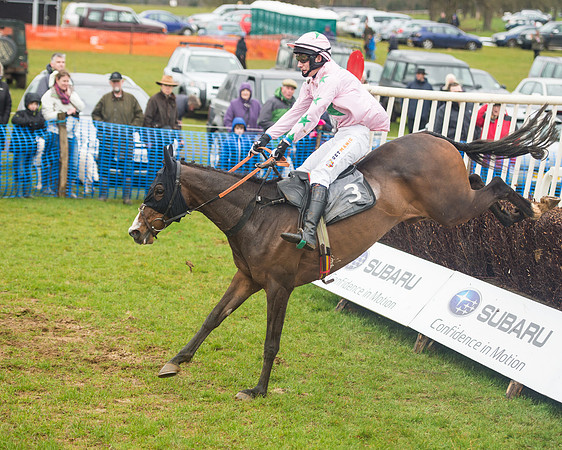 Race 1 - 2M4F Maiden (77 of 82).jpg