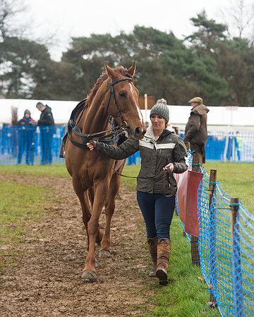Race 3 - South East Grand National (2 of 114).jpg