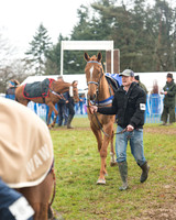 Race 3 - South East Grand National (8 of 114).jpg