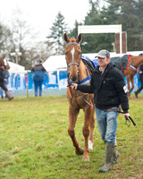 Race 3 - South East Grand National (9 of 114).jpg