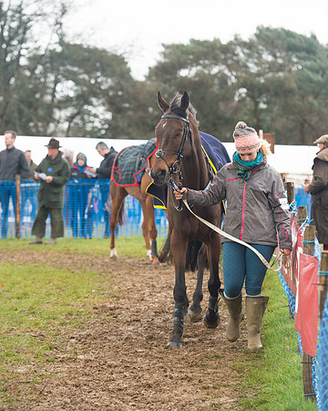 Race 3 - South East Grand National (10 of 114).jpg