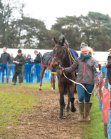 Race 3 - South East Grand National (11 of 114).jpg
