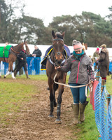 Race 3 - South East Grand National (12 of 114).jpg