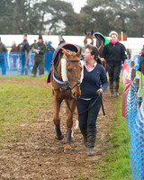 Race 3 - South East Grand National (13 of 114).jpg