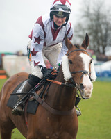 Race 3 - South East Grand National (17 of 114).jpg