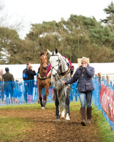 Race 4 - Open Maiden (2 of 110).jpg