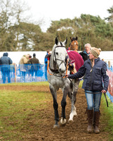Race 4 - Open Maiden (3 of 110).jpg