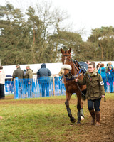 Race 4 - Open Maiden (4 of 110).jpg