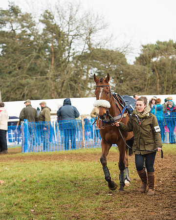 Race 4 - Open Maiden (4 of 110).jpg