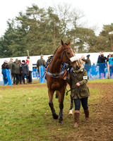 Race 4 - Open Maiden (5 of 110).jpg