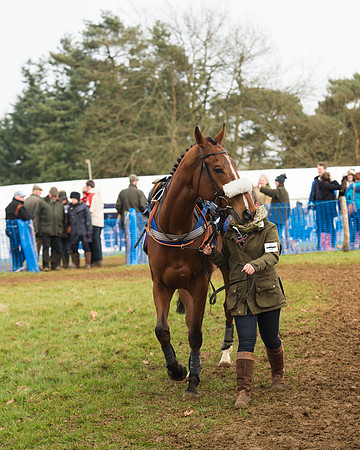 Race 4 - Open Maiden (5 of 110).jpg