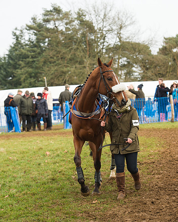 Race 4 - Open Maiden (6 of 110).jpg