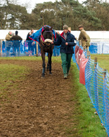 Race 4 - Open Maiden (7 of 110).jpg