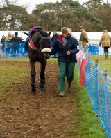 Race 4 - Open Maiden (8 of 110).jpg
