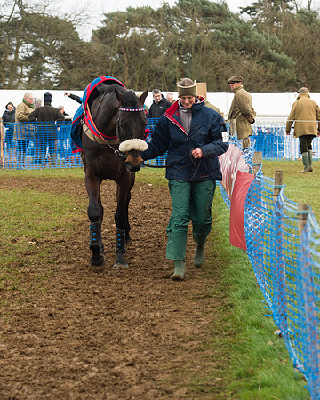 Race 4 - Open Maiden (8 of 110).jpg