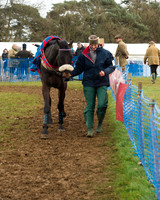 Race 4 - Open Maiden (9 of 110).jpg