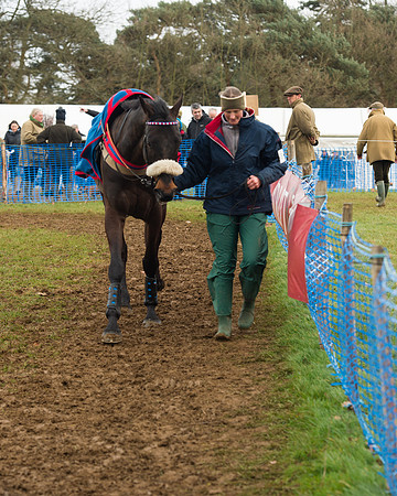 Race 4 - Open Maiden (9 of 110).jpg